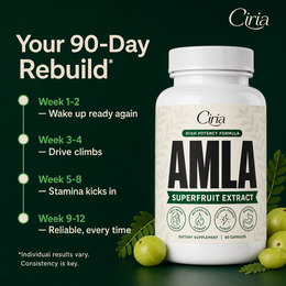 Your 90-day rebuild — what to expect