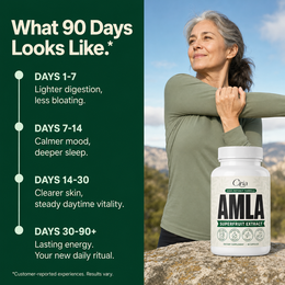 What 90 days looks like — customer-reported timeline