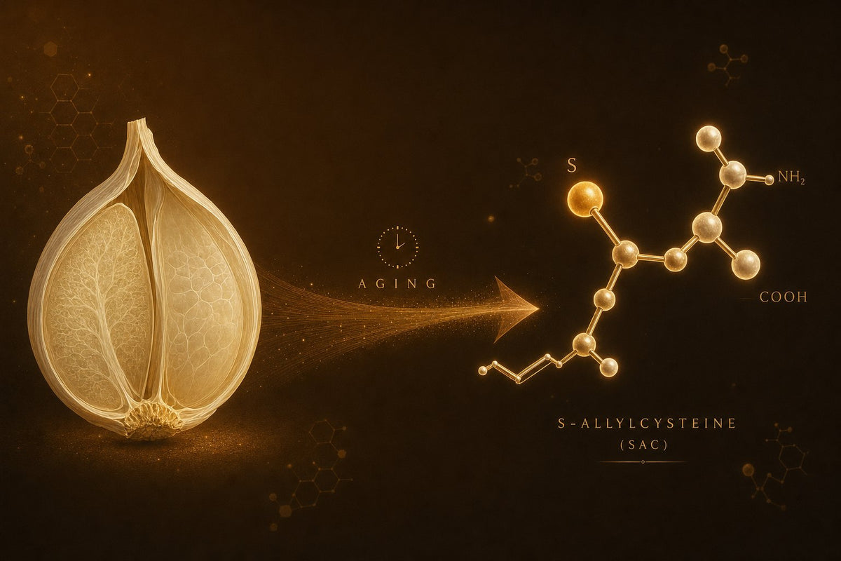 Aged garlic isn't older garlic. It's a different molecule.