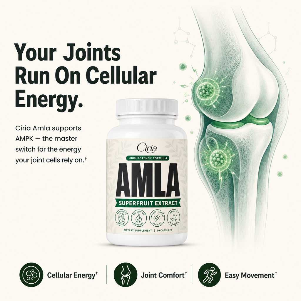 Your joints run on cellular energy