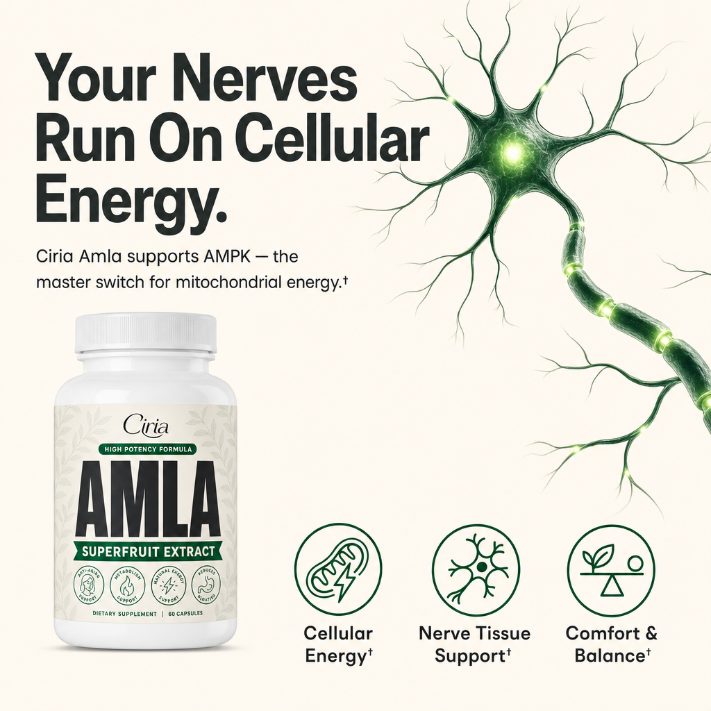 Amla Superfruit Capsules – Nerve