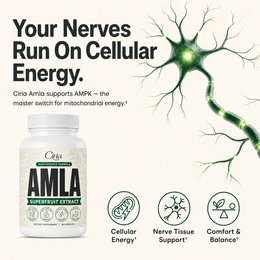 Amla Superfruit Capsules – Nerve