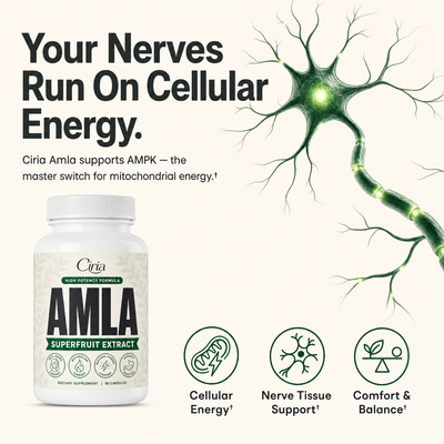 Amla Superfruit Capsules – Nerve